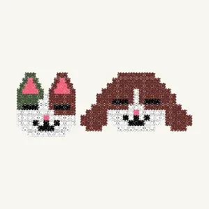 고양이 강아지