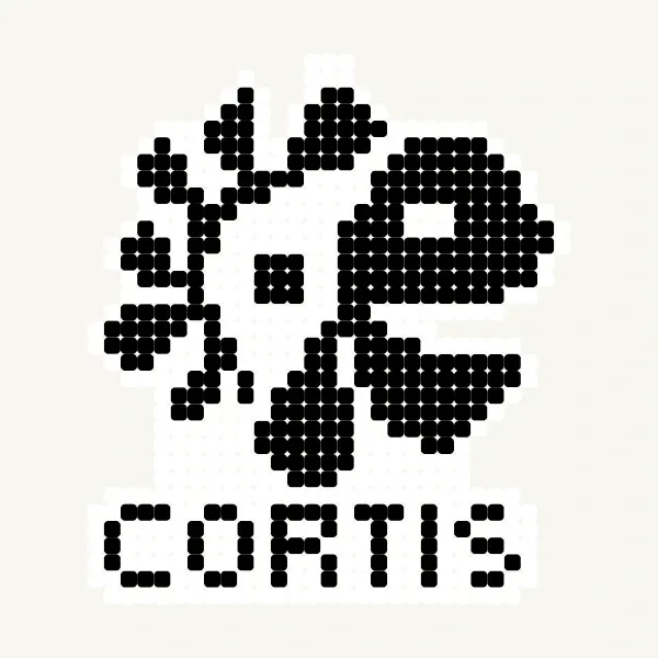 Logo CORTIS