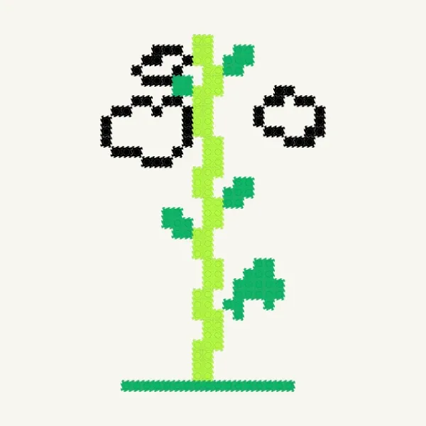 콩 나무 - 이훤1