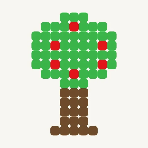 Cây táo - Mai