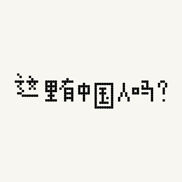 这里有中国人吗？ - 张翔晨