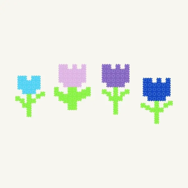 hoa tulip