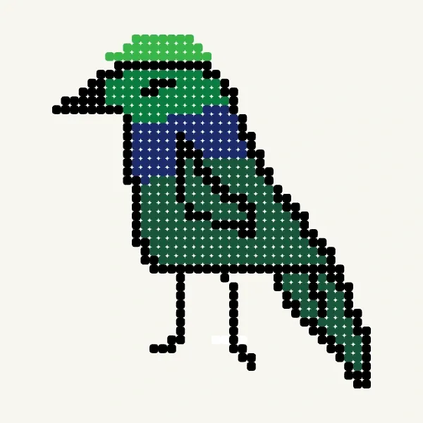 Pigeon WIN